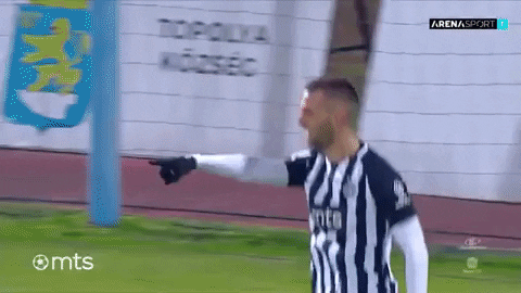 Partizan GIF by sportmts