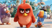 the angry birds movie stop GIF by Angry Birds