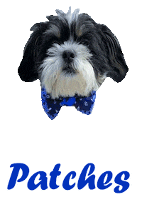 Dog Patches Sticker