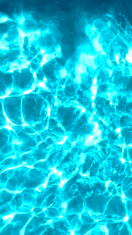 Swimming Pool Girl GIF by Casol
