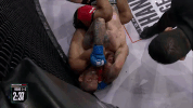 GIF by Bellator