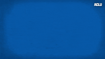 Voting Election 2020 GIF by ACLU