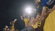 West Virginia Sport GIF by WVU Sports