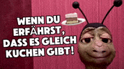 SaschaGrammel essen kaffee kuchen josie GIF