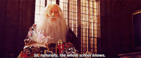 albus dumbledore GIF