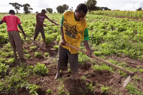 Quickhelper giphyupload GIF