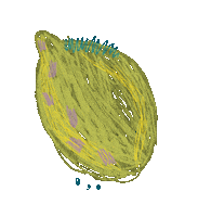 Animation Summer Sticker