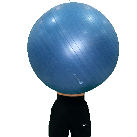 melspilates giphyupload pilates mels melspilates Sticker
