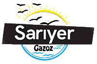sariyericecek  Sticker