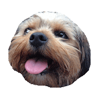 tongue STICKER by imoji