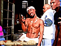 Willianpacpacslife GIF
