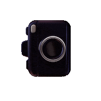 Web Dcb Sticker by DEL COUNTRY BROTHERS