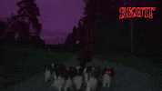 Dogs Walking GIF by Skott
