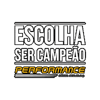 Performance Sticker by integralmix