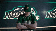 Ndsu Baseball GIF by NDSU Athletics