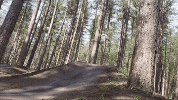 RolandRock giphygifmaker giphygifmakermobile GIF