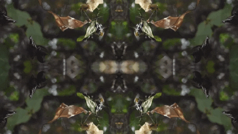 Art Love GIF by jorgemariozuleta