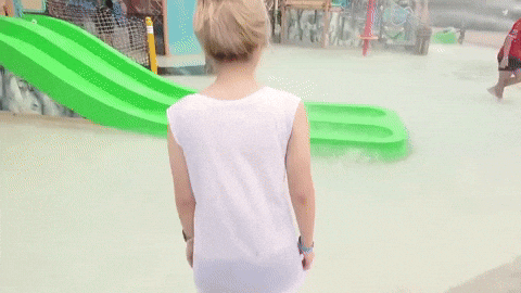 sunbeary GIF