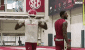 Football Sam GIF by Hogs+