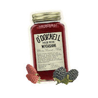 odonnell jar moonshine schnaps liqueur Sticker