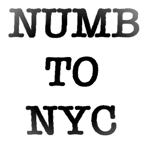 sambierman giphygifmaker nyc new york new york city GIF