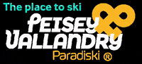 Peisey-Vallandry france ski snowboard montagne GIF