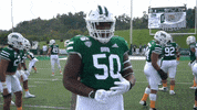 OhioBobcats football cats ncaa college football GIF