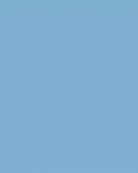 North Carolina Baseball GIF by UNC Tar Heels