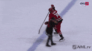 Ice Hockey GIF by NHL