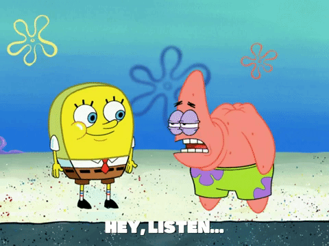 season 6 GIF by SpongeBob SquarePants