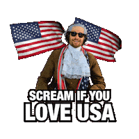 American Usa Sticker