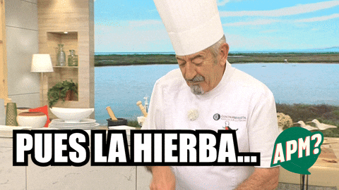 Humor Comedia GIF by Alguna Pregunta Més?