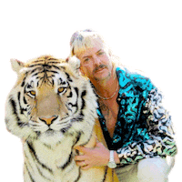 Tiger King Sticker by Macattack
