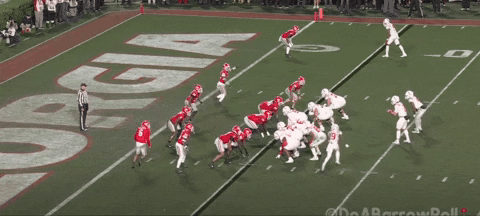 bson1011 giphyupload GIF