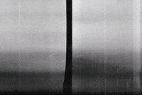 Carbon Copy Fun GIF by Ryan Seslow