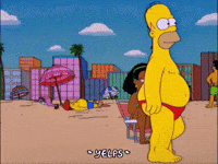 homer simpson beach GIF