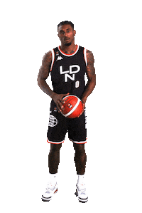thelondonlions basketball london pose lions Sticker