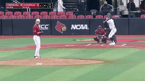 typicalbaseballfan giphygifgrabber bc GIF