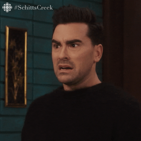 schitts creek no GIF by CBC