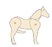 onapromise horse tail bottoms up nippy Sticker