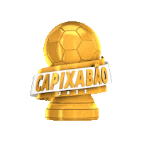 Capixabao2022 Sticker by futebolcapixabaoficial