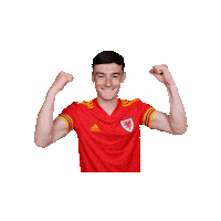 Wales National Team Football Sticker by FA Wales