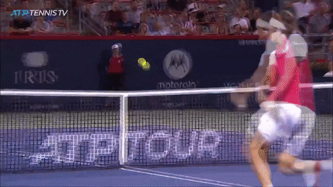 Sport Reaction GIF by Tennis TV