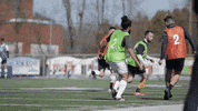stockade fc GIF by glitter