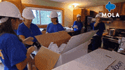 Art Living GIF by MolaTV