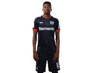 Bayer 04 Werkself Sticker by Bayer 04 Leverkusen
