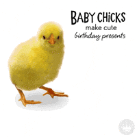 Happy Birthday Ecards GIF by Hallmark Gold Crown