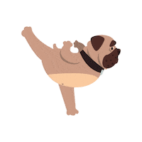 Dog Yoga Sticker by bulldogclub