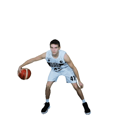 Basketball Basket Sticker by PBC Runa-basket