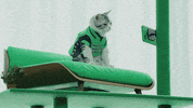 Todd Gurley Cat GIF by HULU